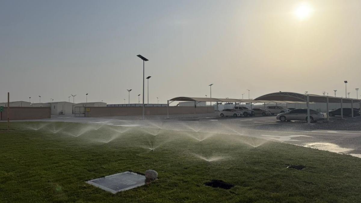 Sprinklers watering a landscaped lawn