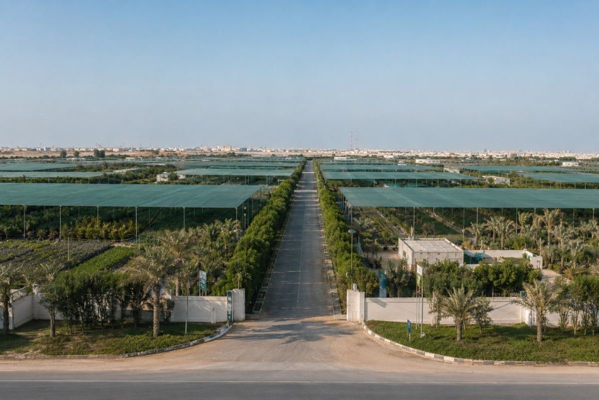 Aerial view of nursery planting areas